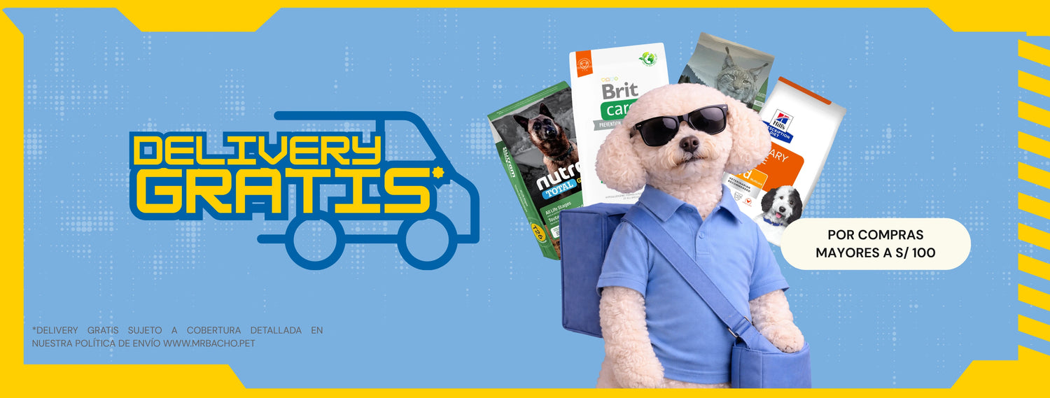 Mr. Bacho - Pet Shop