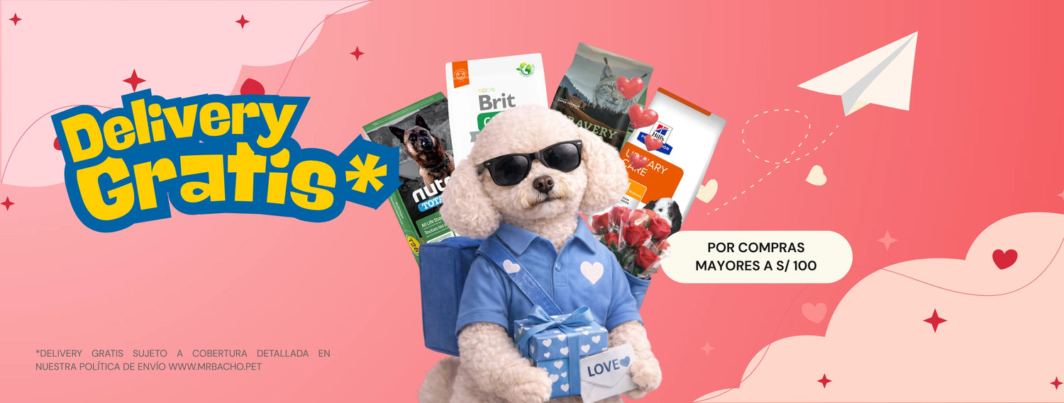 Mr. Bacho - Pet Shop