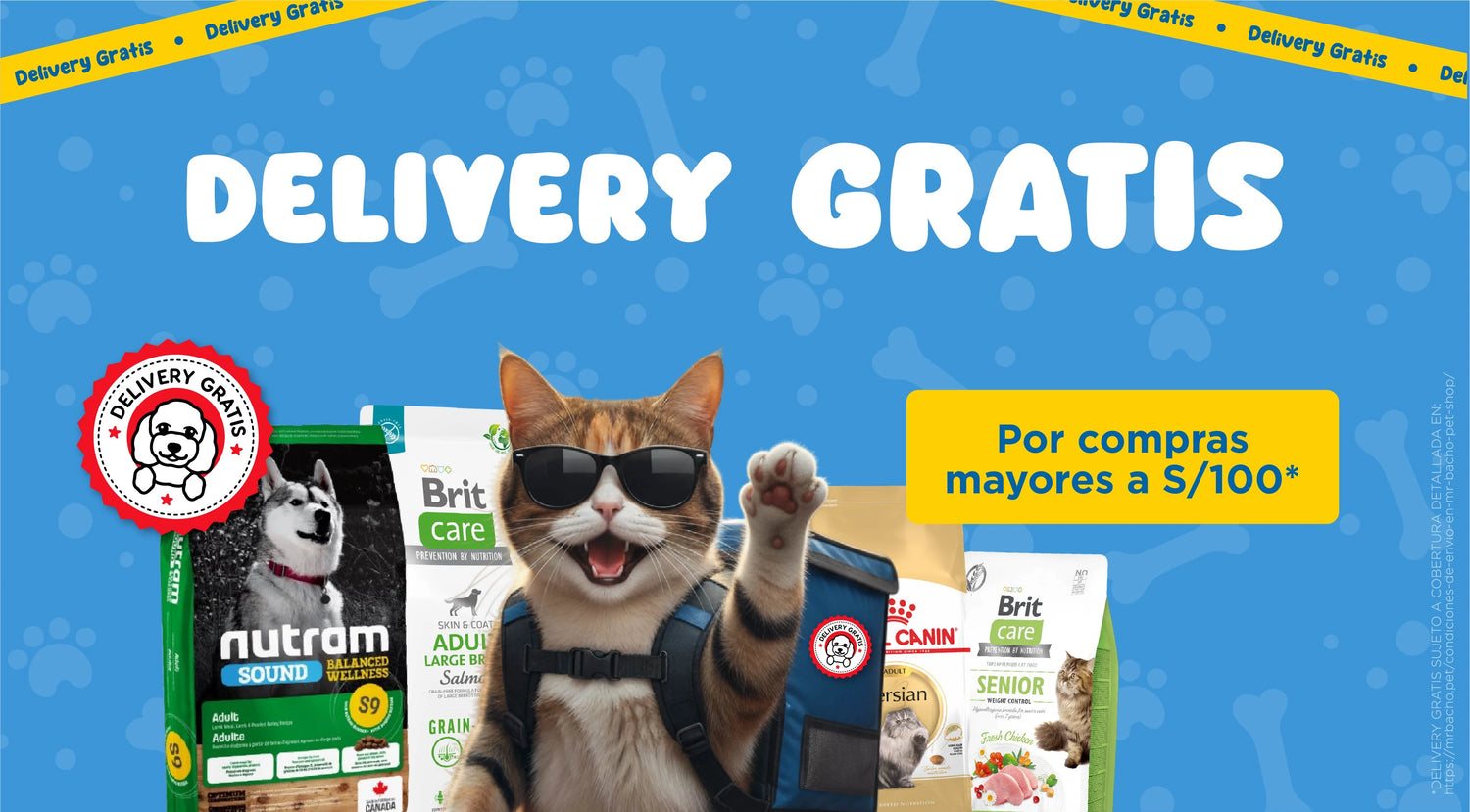 Mr. Bacho - Pet Shop