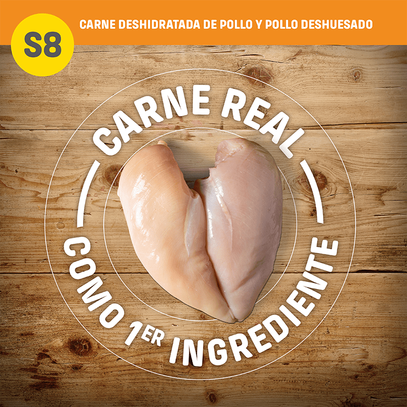 Nutram S8 Large Breed Adult