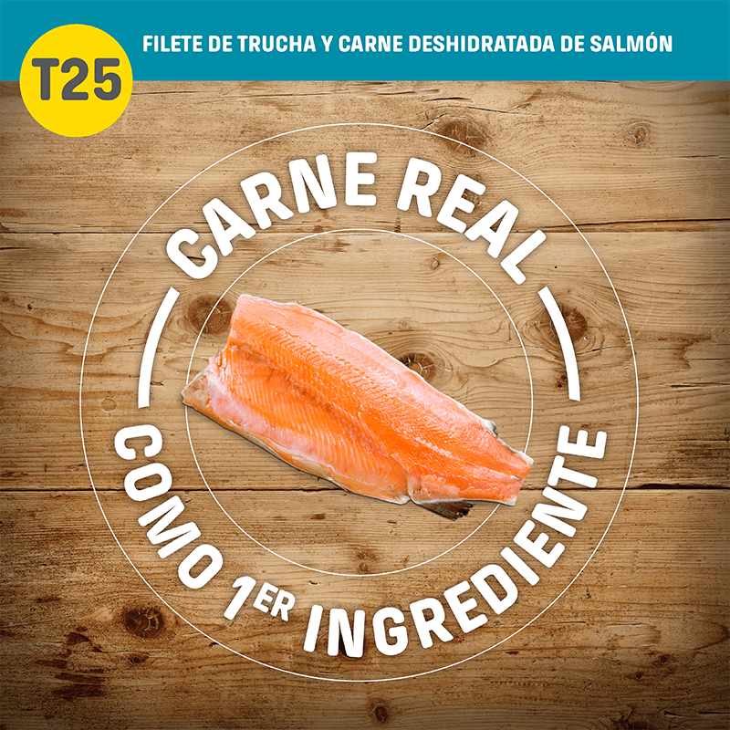 Nutram T25 Grain-Free Salmon & Trout