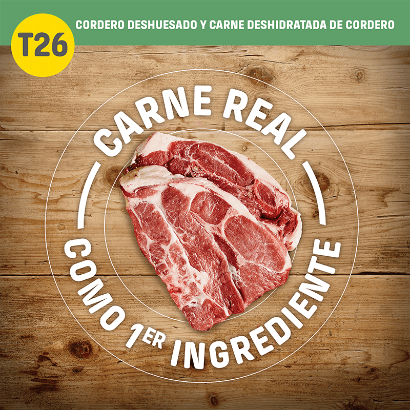 Nutram T26 Grain-Free Allergy Lamb