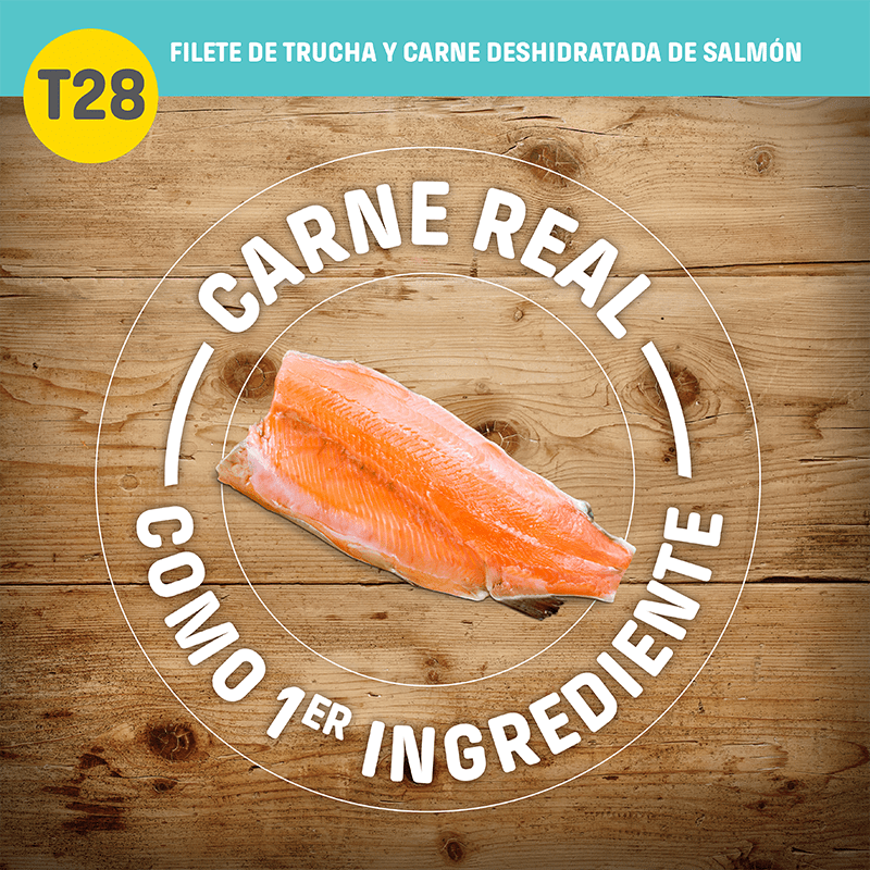 Nutram T28 Salmon & Trout