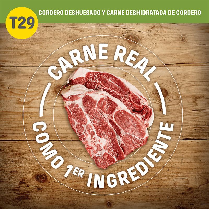 Nutram T29 Lamb