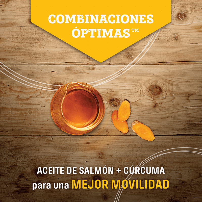 Nutram S8 Large Breed Adult