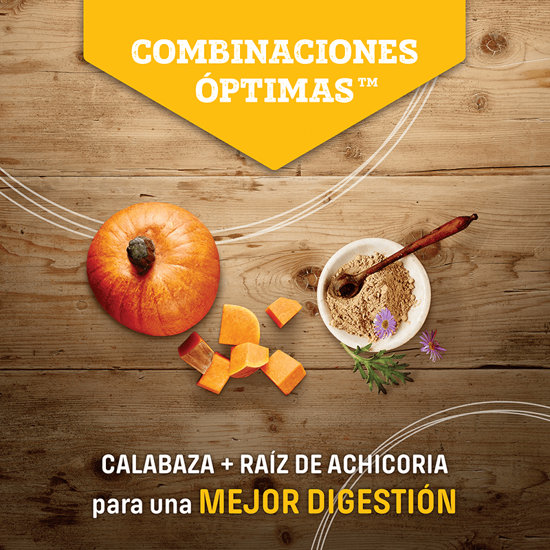 Nutram I18 Ideal Weight Control