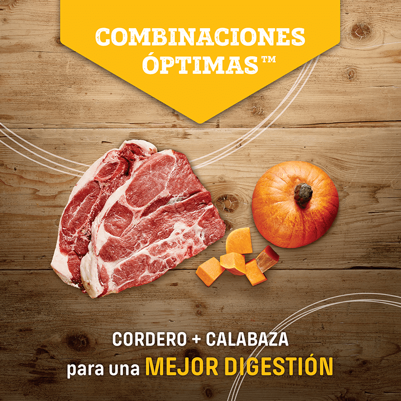 Nutram T26 Grain-Free Allergy Lamb
