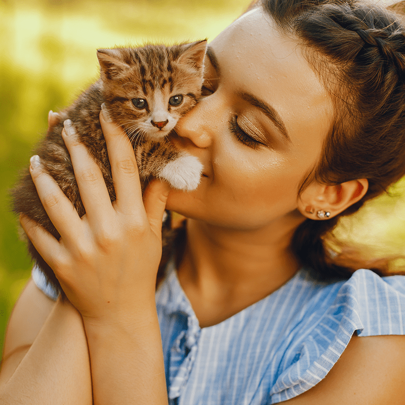 Nutram S1 Sound Kitten