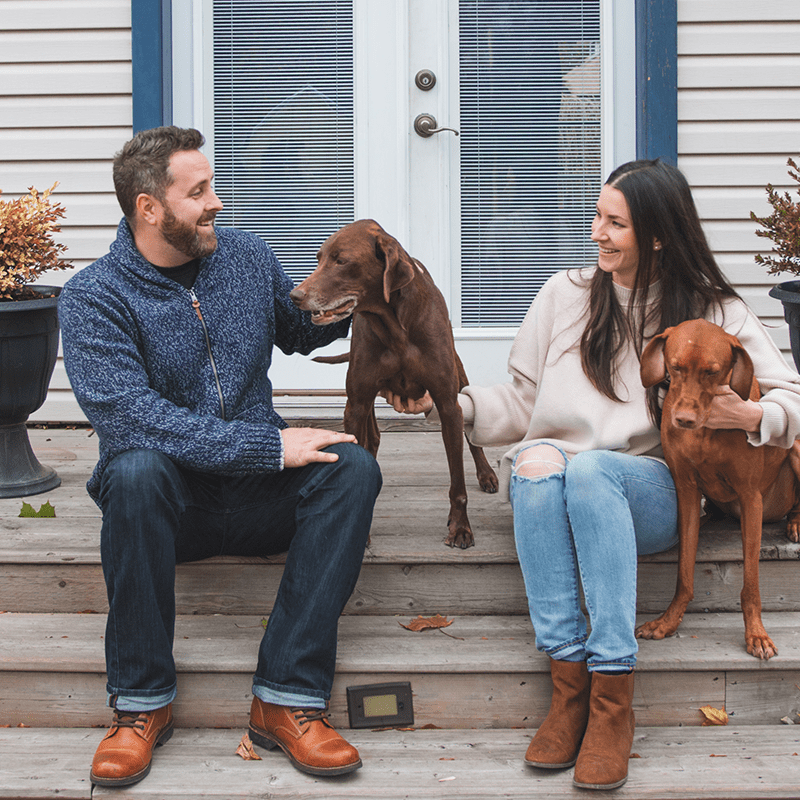 Nutram S8 Large Breed Adult