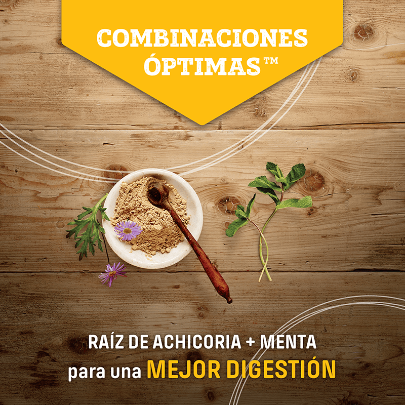 Nutram S8 Large Breed Adult