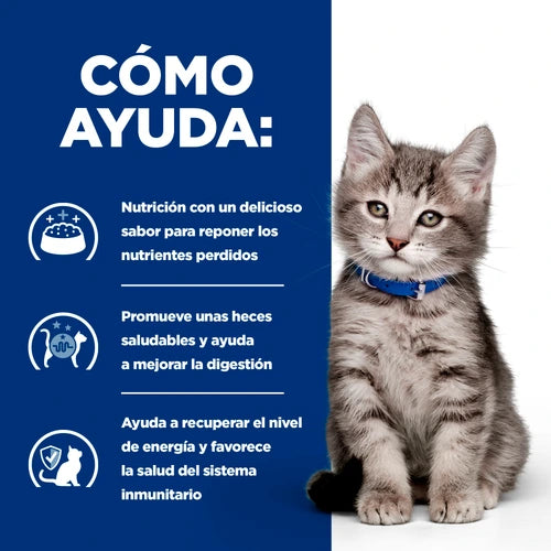 Hills PD Feline I/D Digestive Care Kitten