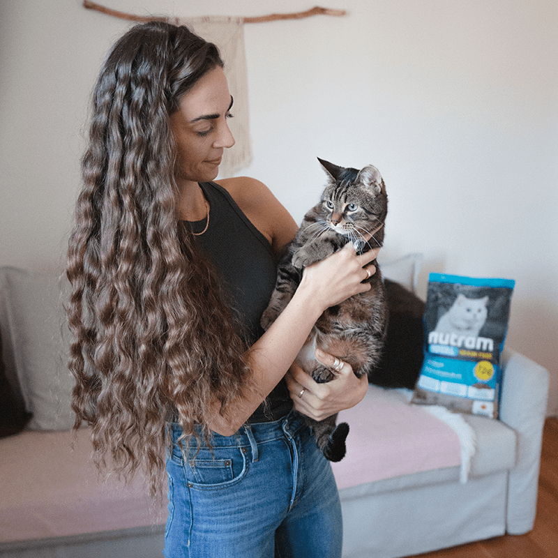 Nutram I12 Weight Control Cat