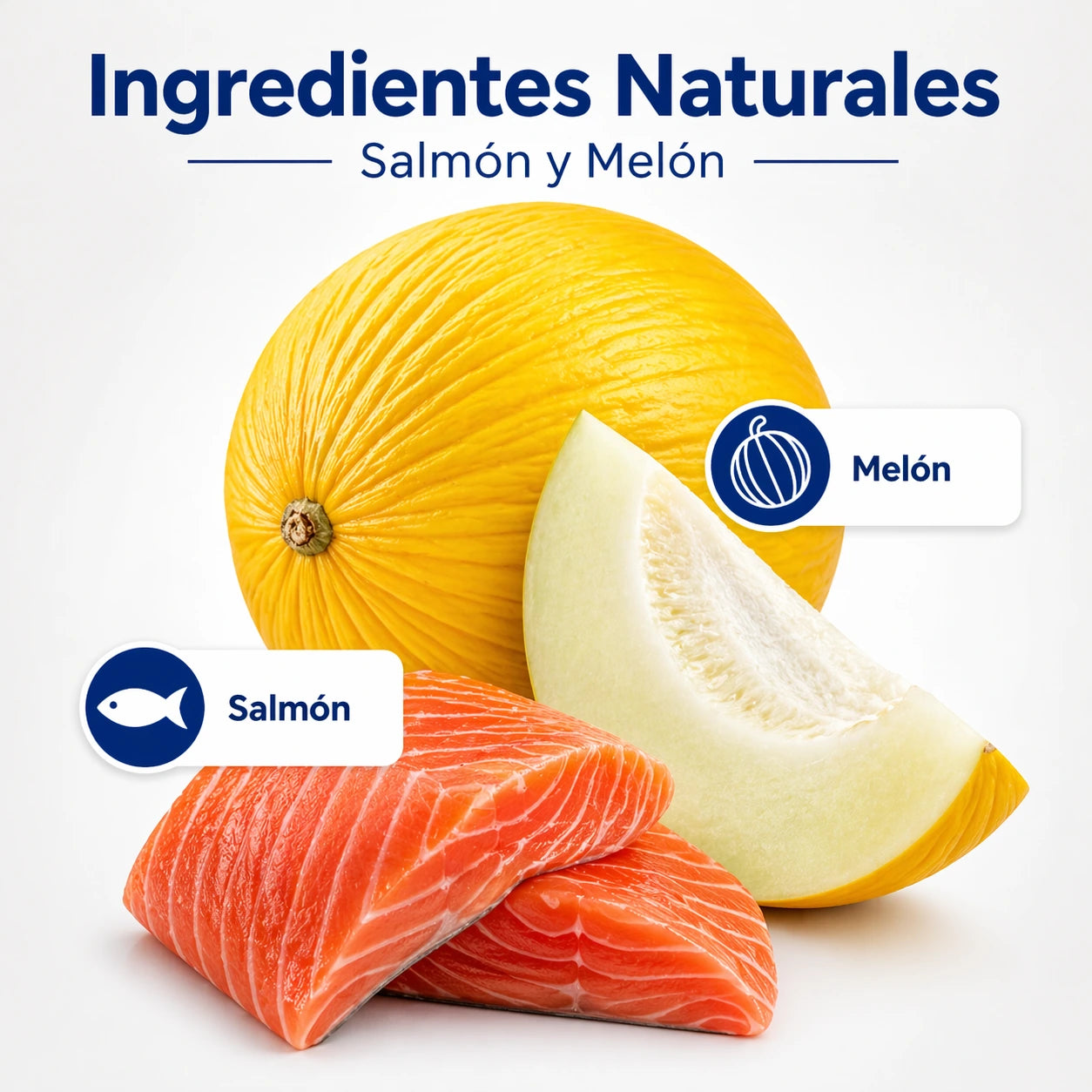 N&D Ocean Feline Salmón y Melón - Gatos Adultos Castrados