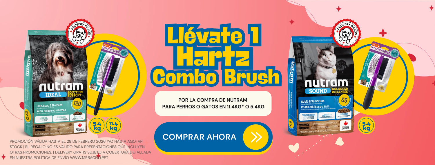 Mr. Bacho - Pet Shop