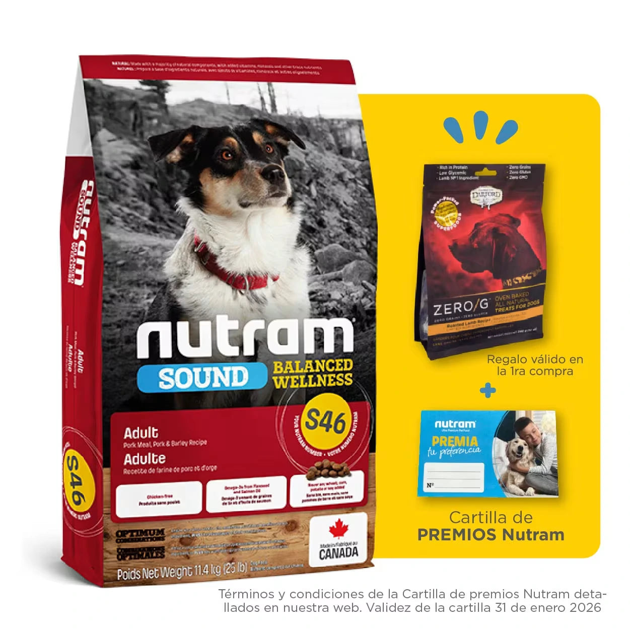Nutram S46 Pork & Barley Adult Dog