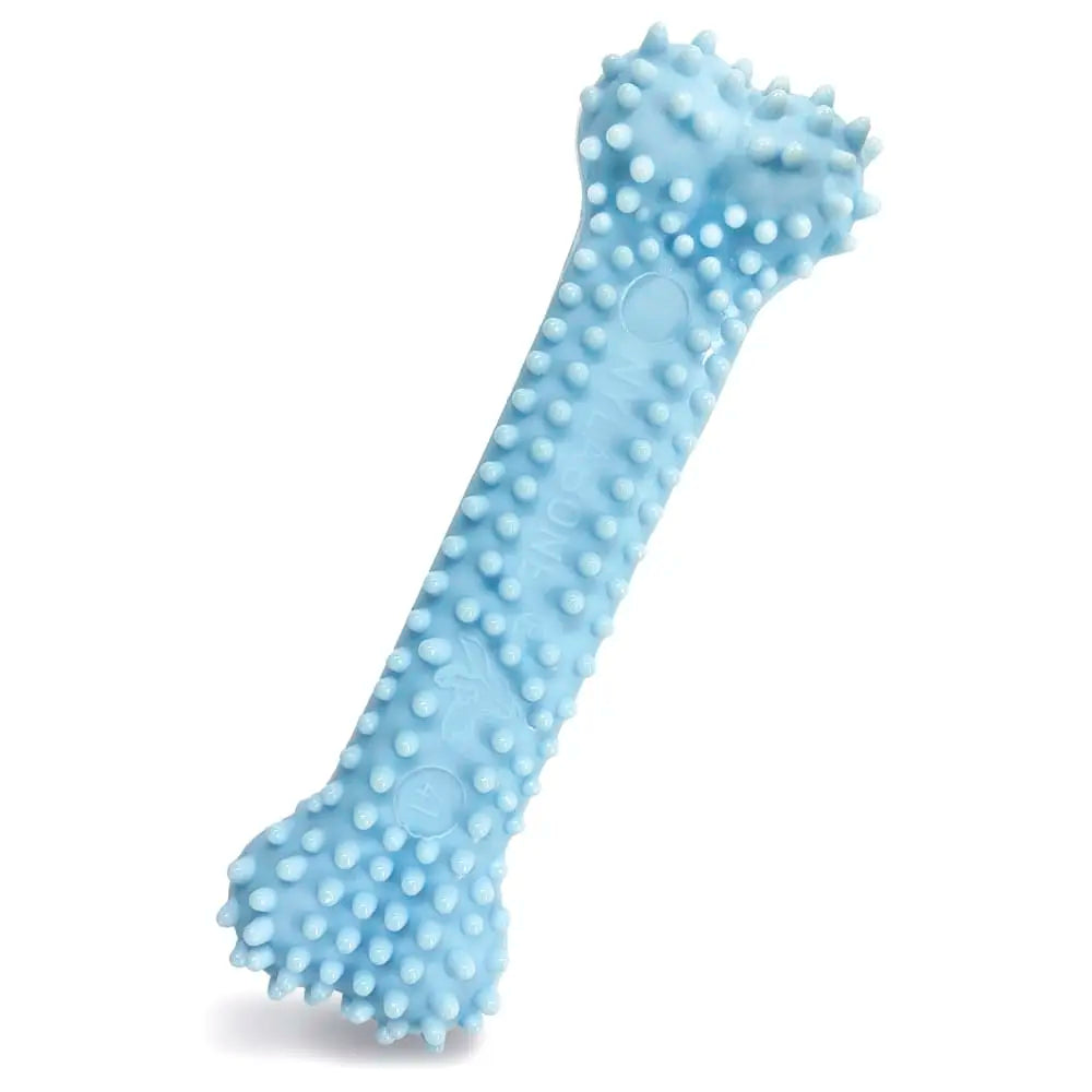 Nylabone Puppy Chew Best - Juguete masticable texturizado para cachorros en etapa de dentición sabor pollo