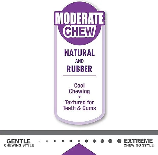 Nylabone Essentials Moderate Chew - Juguete masticable y congelable sabor tocino para perros