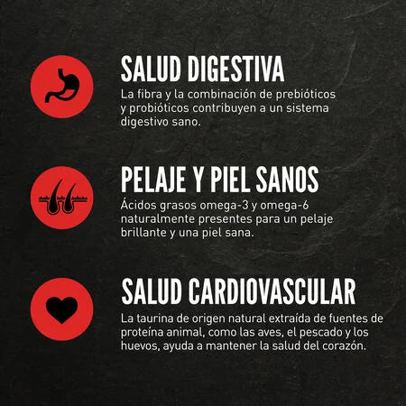 Orijen Grain-Free Kitten