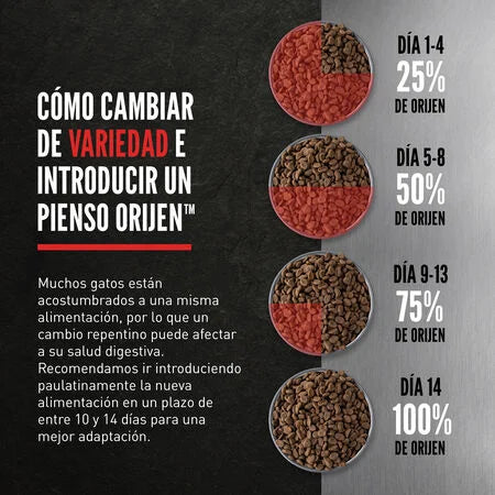 Orijen Grain-Free Kitten