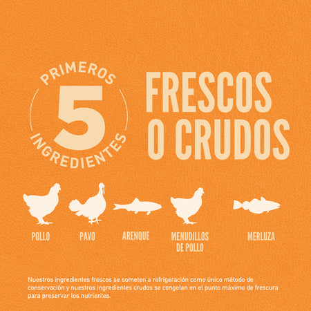 Orijen Grain-Free Original Gatos Adultos y Gatitos