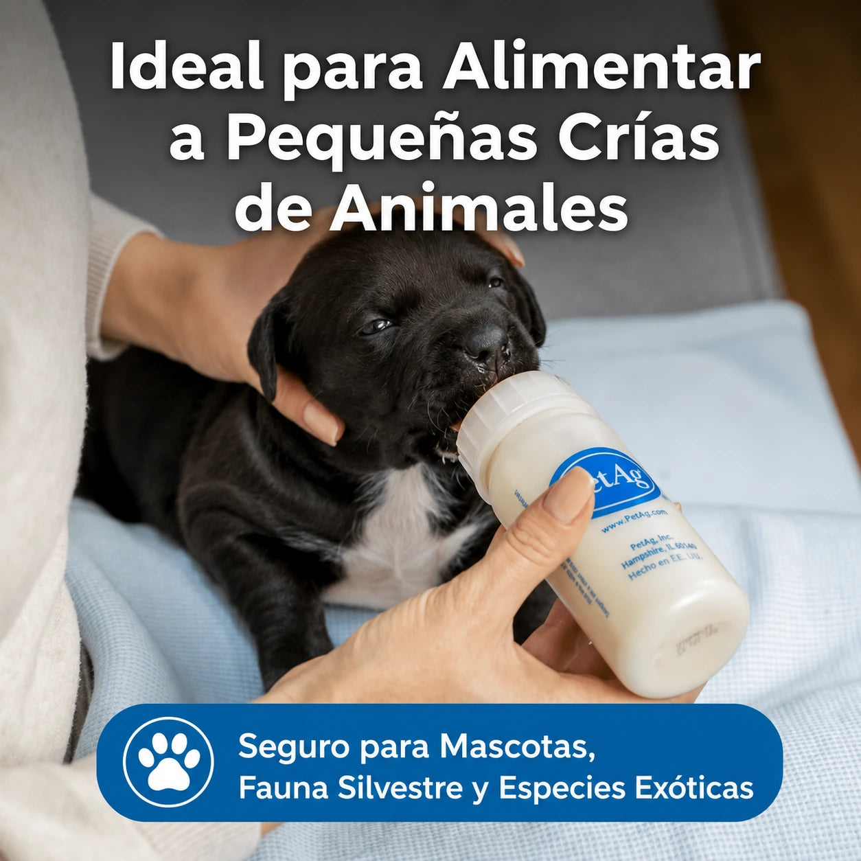 Pet Ag Nursing Kit - Kit de biberón