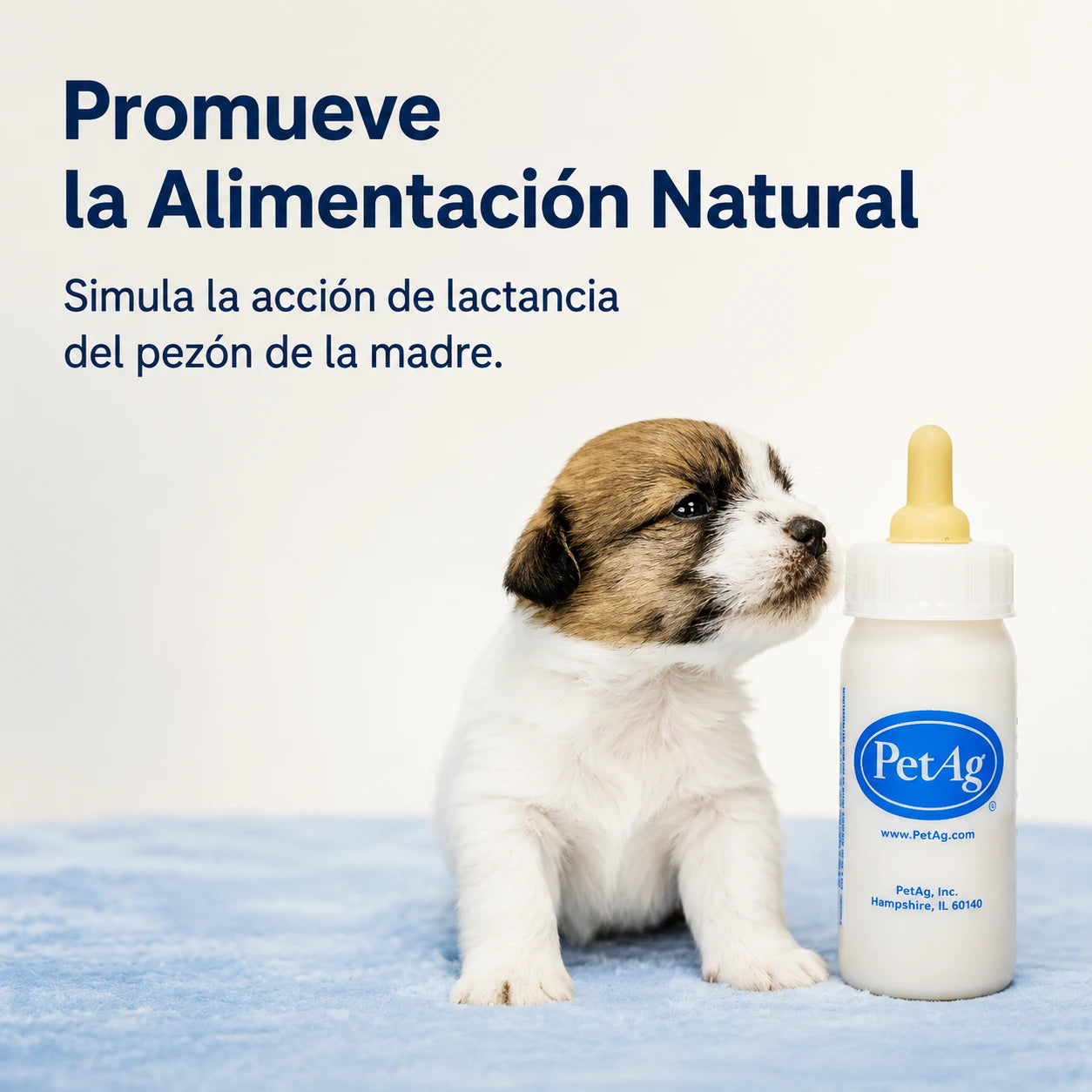 Pet Ag Nursing Kit - Kit de biberón