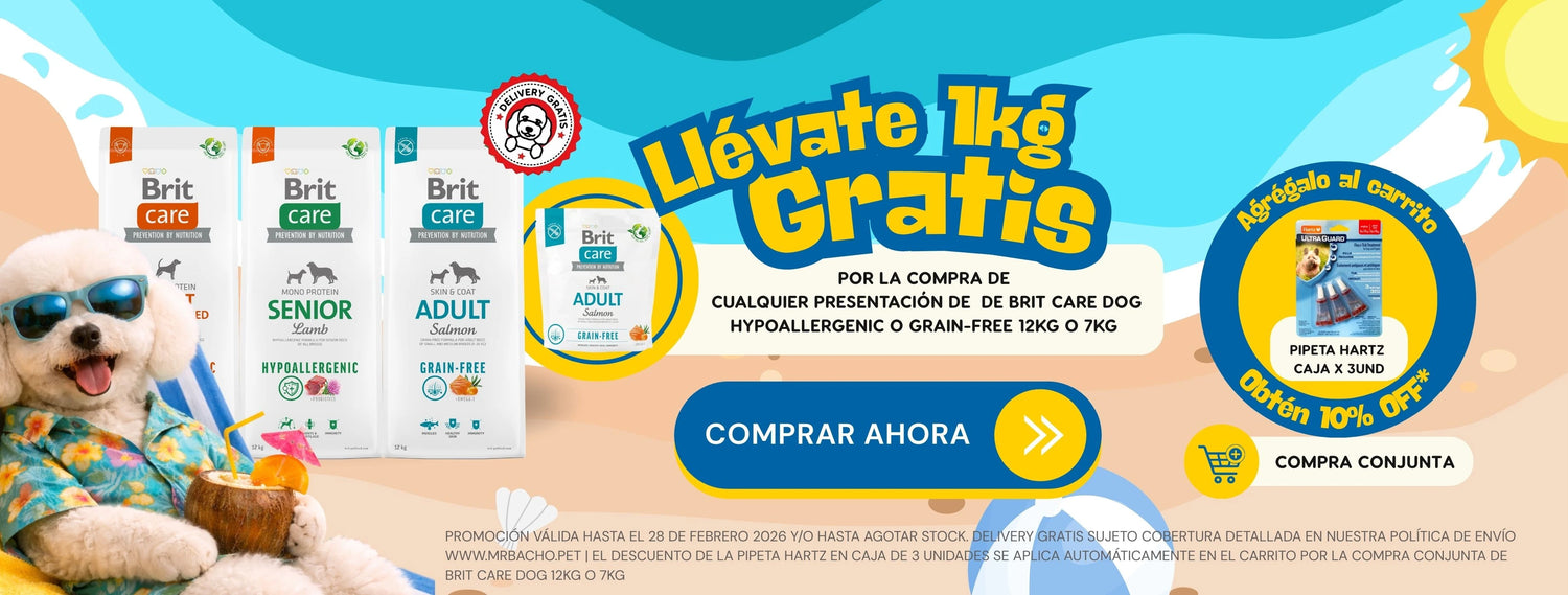 Mr. Bacho - Pet Shop