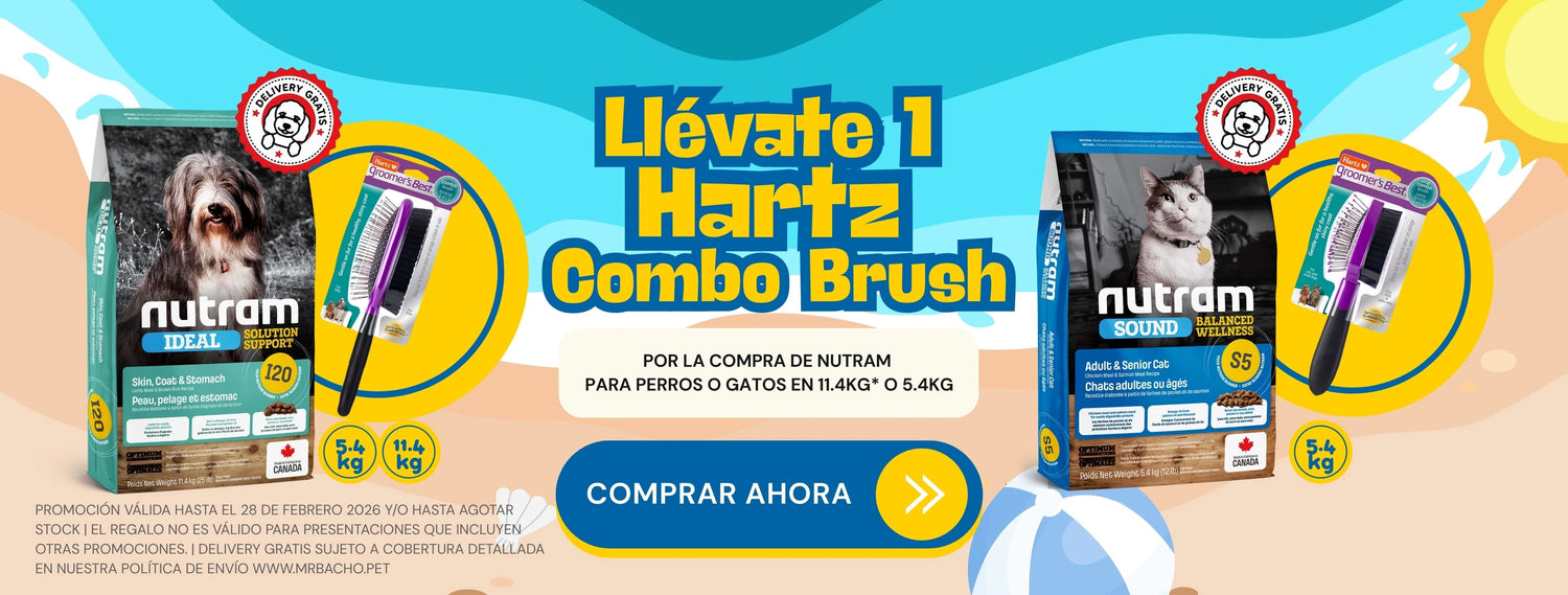 Mr. Bacho - Pet Shop