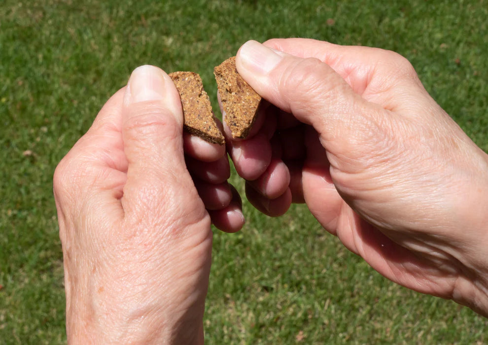 Darford Grain-Free Zero/G Minis Treats Receta de Salmón Asado para Perros