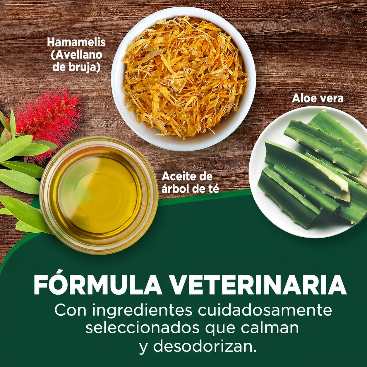 Vet's Best Clean Ear Finger Pads - Toallitas dactilares de Limpieza de oído para Perros