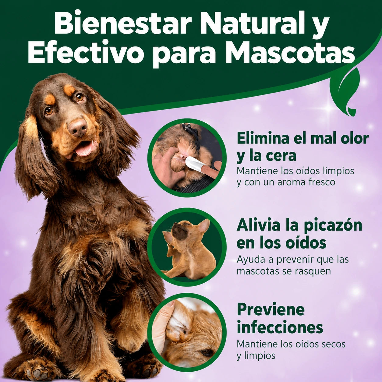 Vet's Best Clean Ear Finger Pads - Toallitas dactilares de Limpieza de oído para Perros