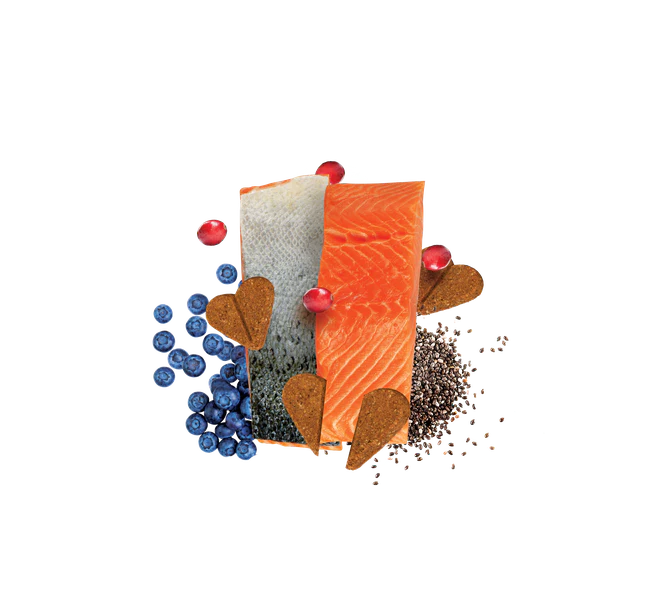 Darford Grain-Free Zero/G Minis Treats Receta de Salmón Asado para Perros