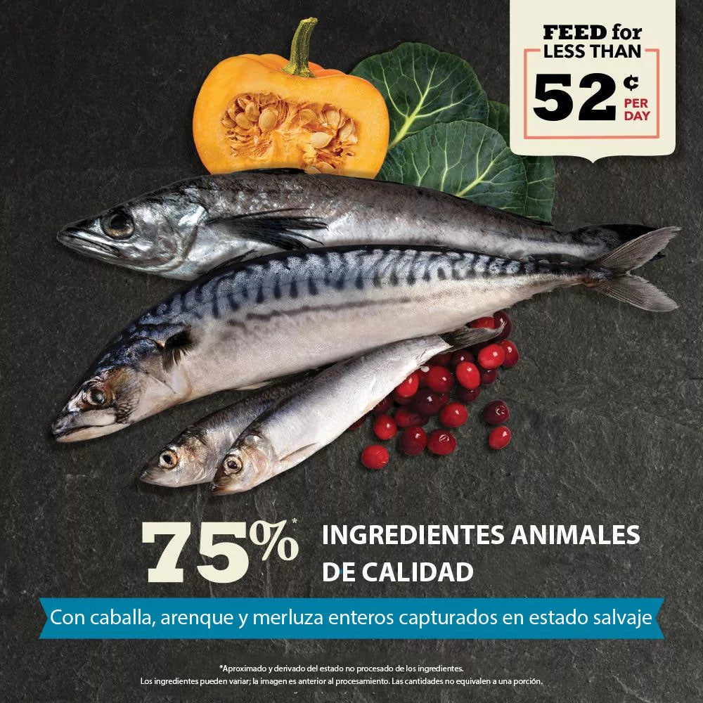 Acana Cat Grain-Free Wild Atlantic - All Lifes Stages