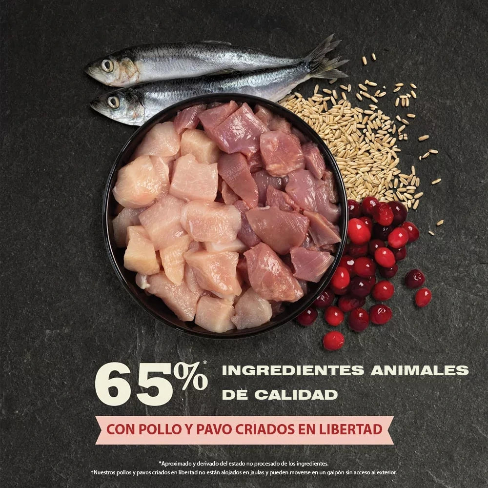 Acana Cat Indoor Entrée - Pollo y pavo