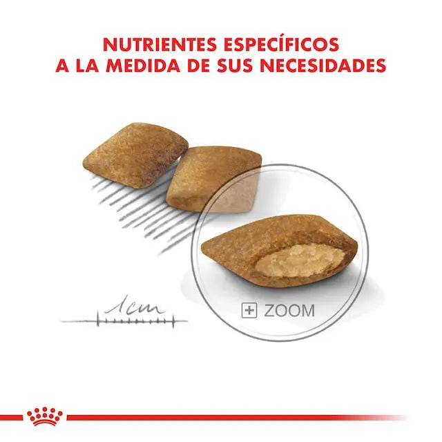 Royal Canin CCN Mini Exigent