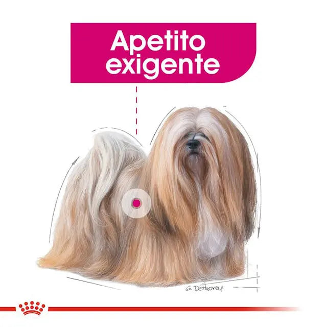Royal Canin CCN Mini Exigent