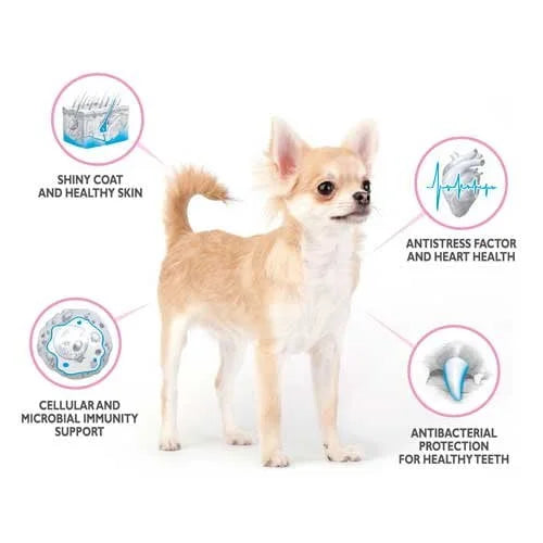 Brit Care Mini Puppy Grain-Free Lamb