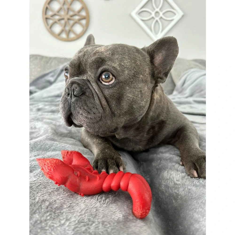 Nylabone Power Chew - Juguete para perros con forma de langosta sabor filet mignon