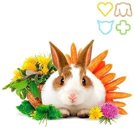 Brit Animals Conejo Adult Complete