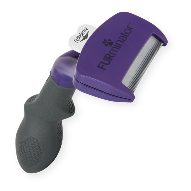 FURminator Undercoat deShedding para gatos medianos y grandes de pelo corto