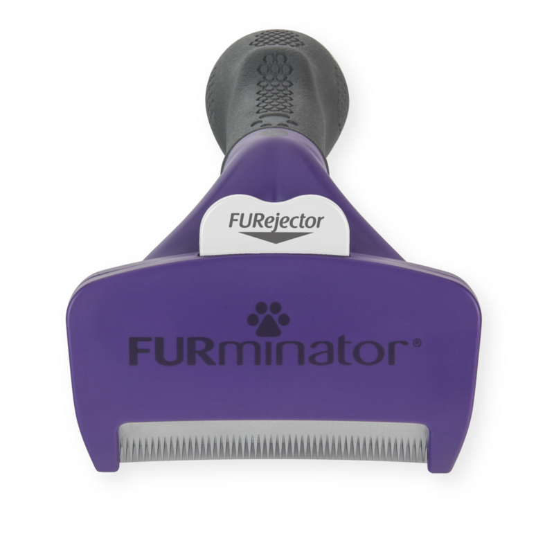 FURminator Undercoat deShedding para gatos medianos y grandes de pelo corto