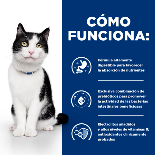Hills PD Feline I/D Digestive Care