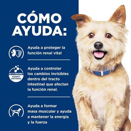 Hills PD Canine K/D Kidney Care