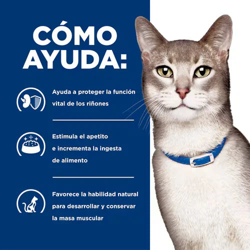 Hills PD Feline K/D Kidney Care