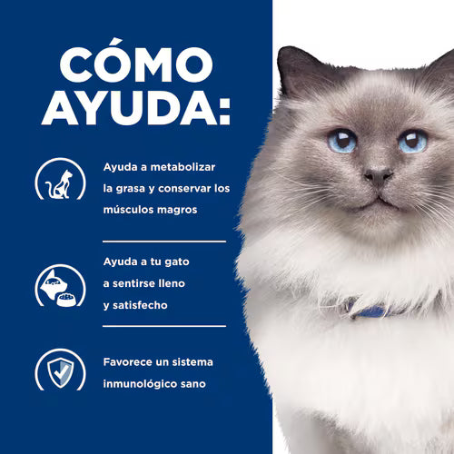 Hills PD Feline R/D Weight Loss