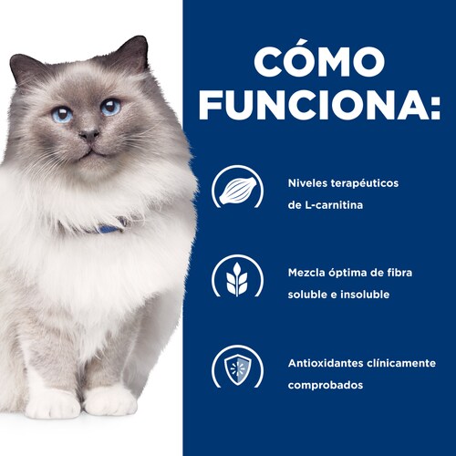 Hills PD Feline R/D Weight Loss