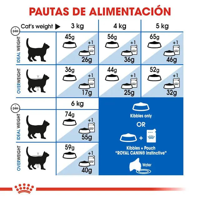 Royal Canin FHN Indoor 27