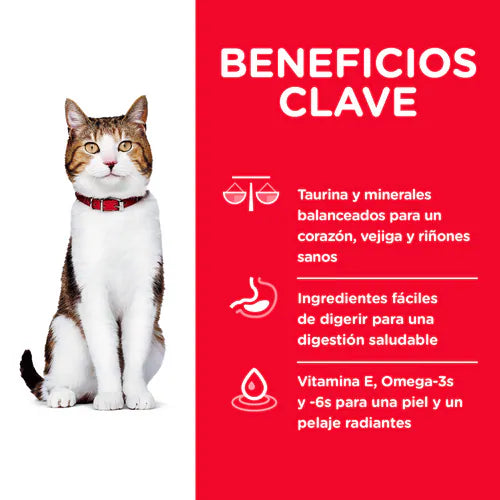 Hills SD Feline Adult 7+ Gatos Senior