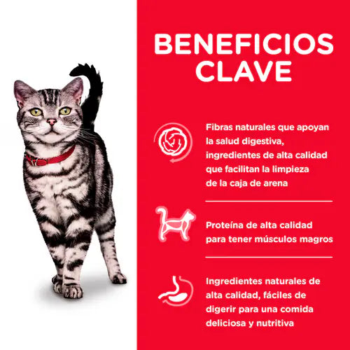 Hills SD Feline Indoor Adult 1-6 Esterilizados