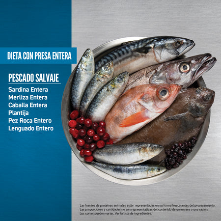 Orijen Grain-Free Six Fish Gatos Adultos y Gatitos